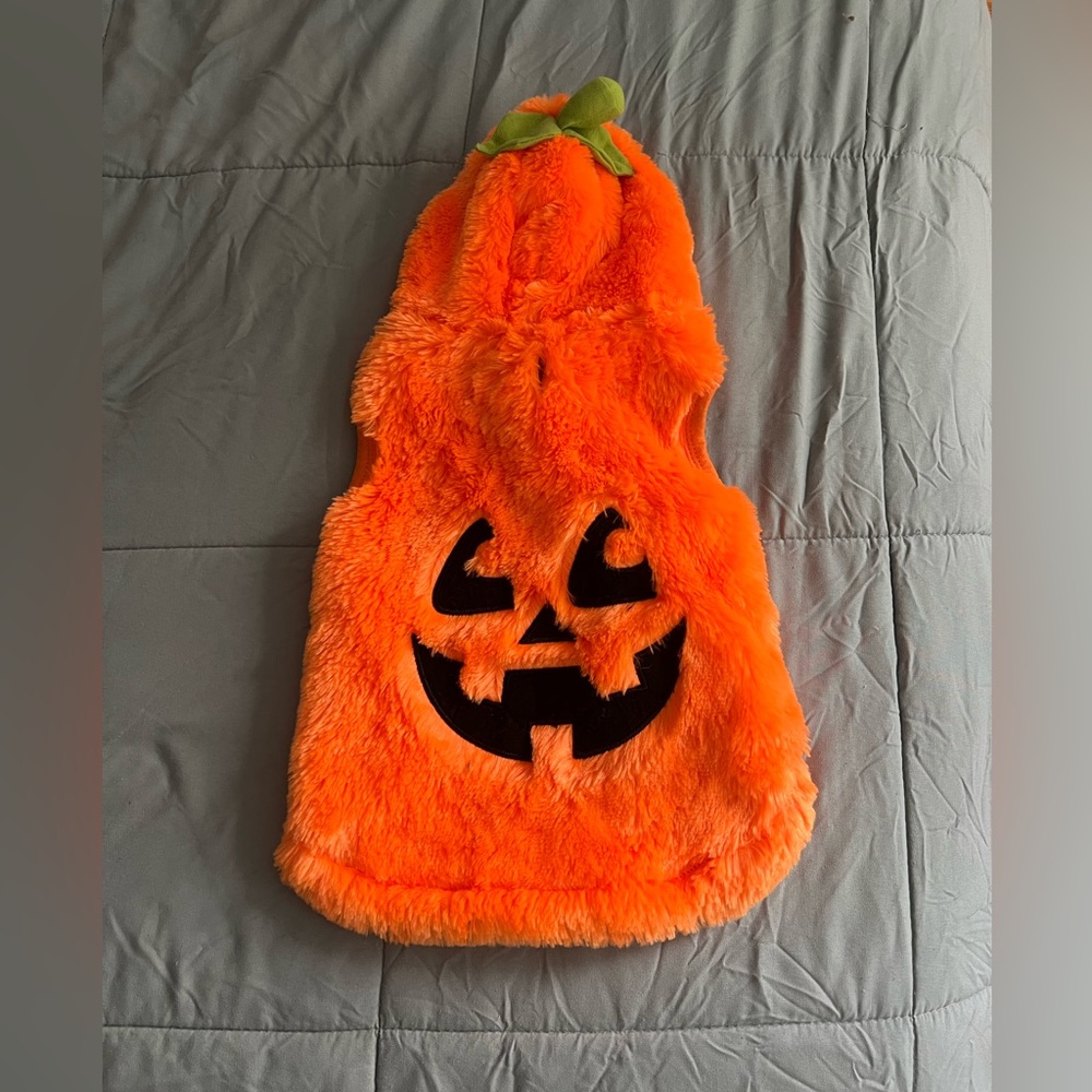 Pupcrew Pumpkin Pet Hoodie for Halloween!